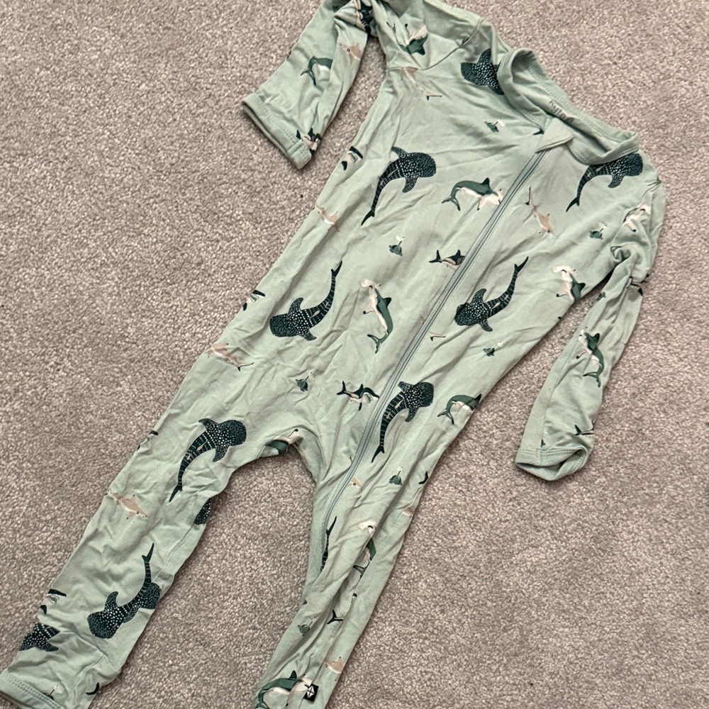 Kyte BABY Mint Green Shark Zip One-Piece Footie